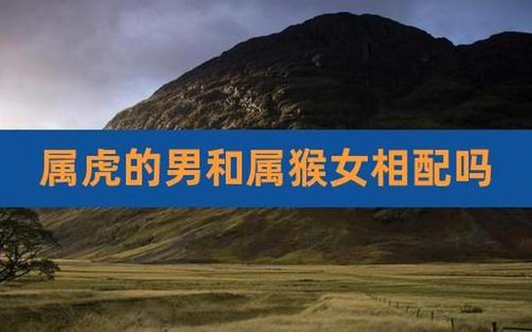 属猴和属虎的合不合适做夫妻呢—虎和猴属相配婚姻如何 属猴和属虎的合不合适做夫妻呢—虎和猴属相配婚姻如何