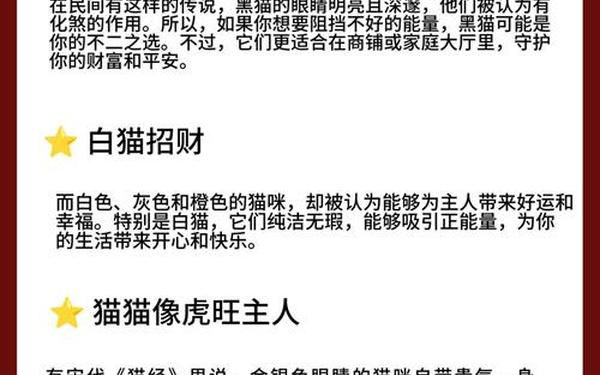 属猴的人适合养猫吗 属猴人适合养什么品种的猫 属猴的人适合养猫吗 属猴人适合养什么品种的猫