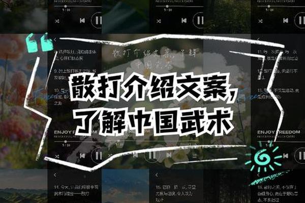 武术文化介绍文案 武术推广文案