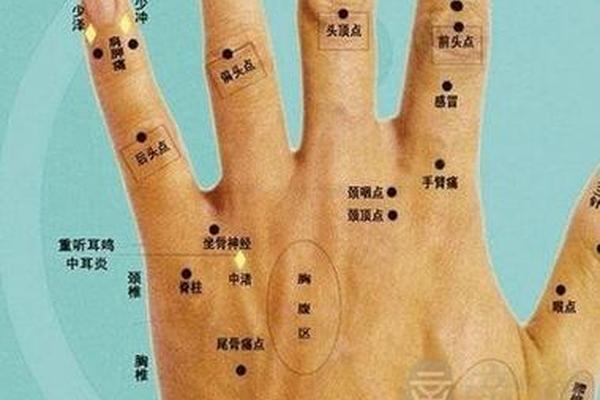 女是手掌长痣图相—女手掌痣位置与命运