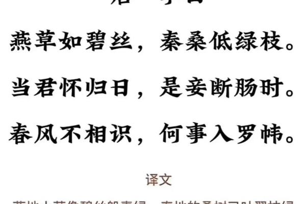 诗词文化的魅力和底蕴,古诗词的魅力与意义