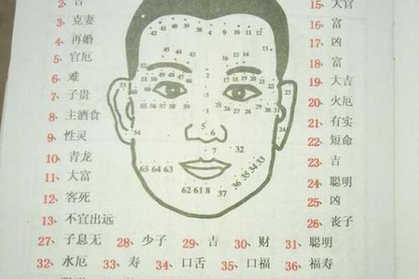 痣相道具-痣相大全书籍 痣相道具-痣相大全书籍