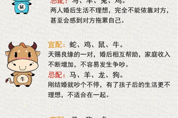 八字配偶属相