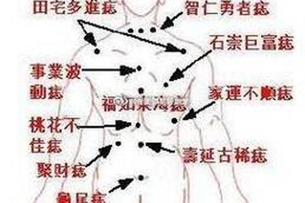 痣相肩胛骨的痣_女人左肩膀有痣图解