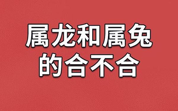 属兔与属龙做生意合财不 属兔与属龙做生意合财不