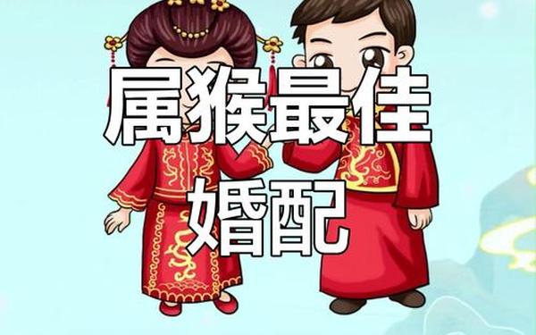 属猴的最佳婚配对象2004(属猴不能配的属相) 属猴的最佳婚配对象2004(属猴不能配的属相)