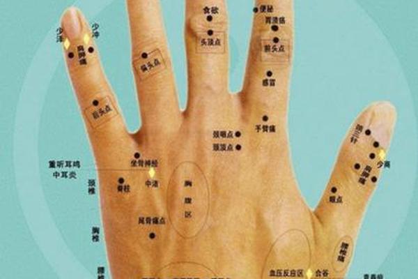 左手手背痣相;左手手背上有痣图解