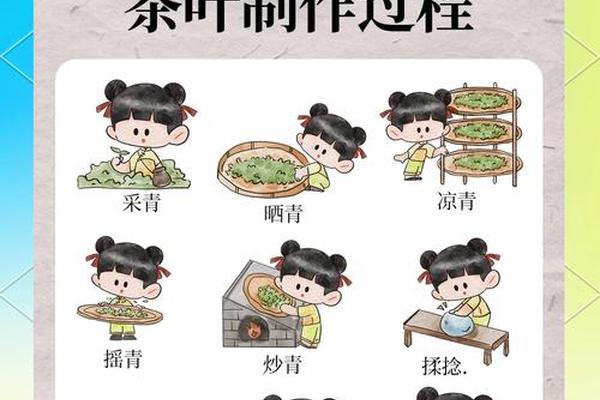 信阳毛尖历史文化传承-手工制茶工艺流程