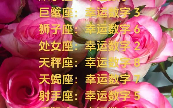星座幸运数字真的有效吗—星座幸运数字最准确的方法 星座幸运数字真的有效吗—星座幸运数字最准确的方法