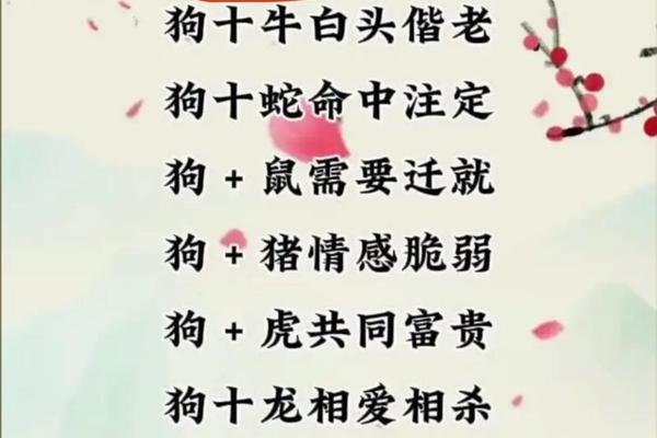 1994男狗1996女鼠姻缘