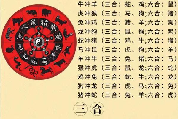 属牛的今年婚姻,属牛人最忌配偶3个人