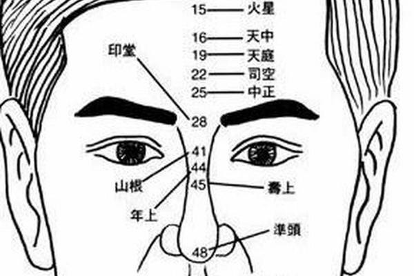 男人鼻梁痣相_鼻梁有痦子代表什么
