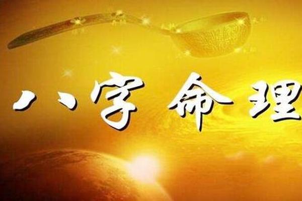 哲的八字