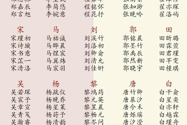 从姓名表中找出所有姓名