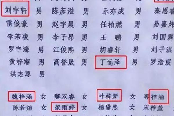 小姓名人比例