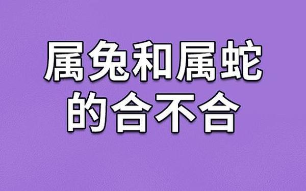 属兔和属蛇的合不合婚姻 属兔和属蛇的合不合婚姻