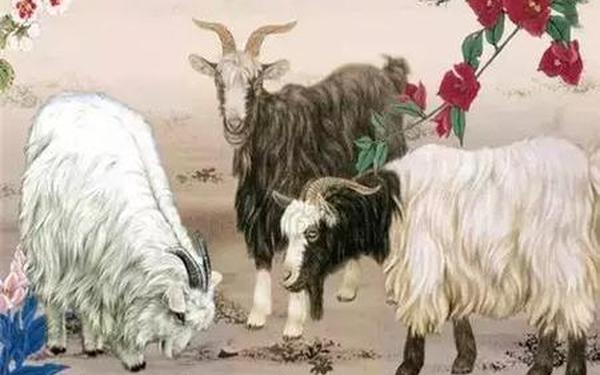属羊一生最克3个人,1979属羊一生三大劫难 属羊一生最克3个人,1979属羊一生三大劫难