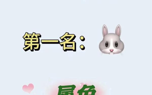 2024年兔年好不好 2024年兔年好不好