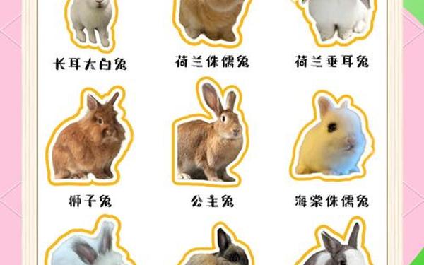 99年兔男兔女适合做夫妻吗—1999年的兔和1999年的兔相配吗 99年兔男兔女适合做夫妻吗—1999年的兔和1999年的兔相配吗