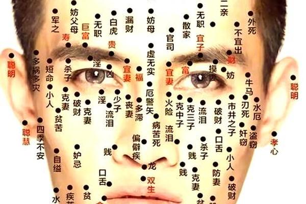 手腕痣相高清图(男面部痣相解析图)