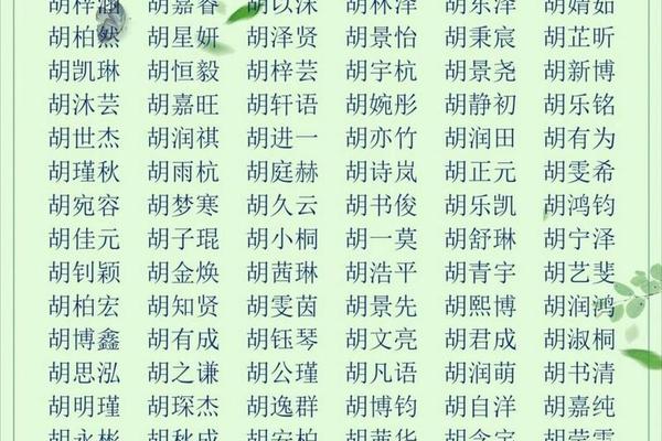 胡姓宝宝起名大全