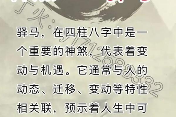 八字 驿马