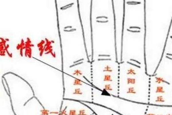 手掌三角纹里还有颗痣纹掌相—手相真正的三角纹图
