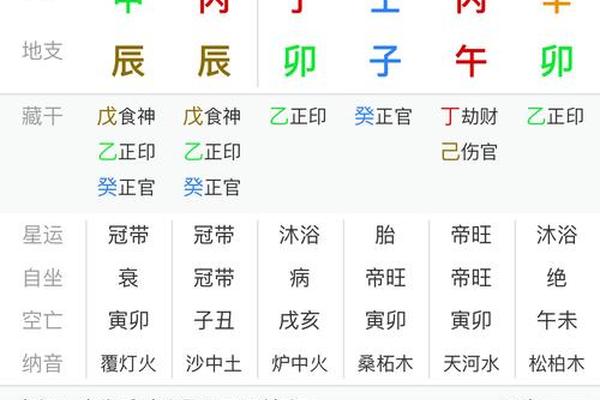 八字巳巳亥