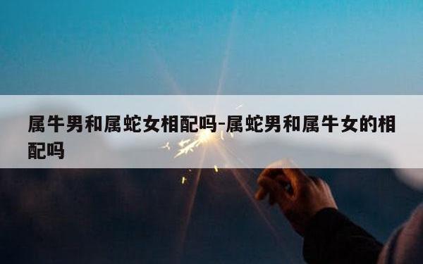 属蛇男和属牛女的姻缘婚配 属蛇男和属牛女的姻缘婚配
