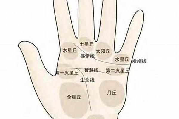 左手掌心痣相(男人左手手掌痣图解)