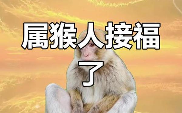 属猴今日运势偏财运第一星座网_属猴今日运势偏财运 属猴今日运势偏财运第一星座网_属猴今日运势偏财运