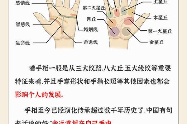 手相 面相 痣相哪个准 八字准还是面相和手相准