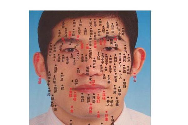 男人全身痣相大全图 全身痣的图片大全男 男人全身痣相大全图 全身痣的图片大全男