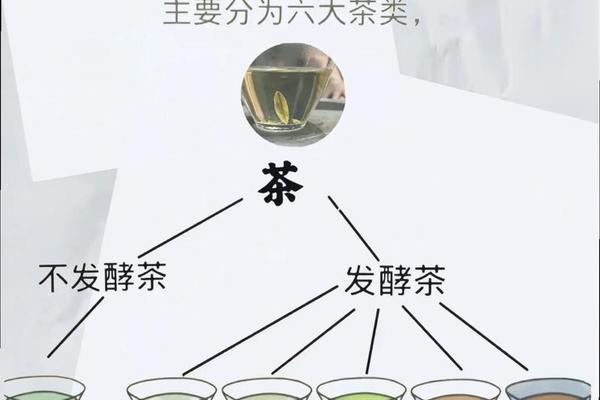 传统茶文化素材-茶文化的特点