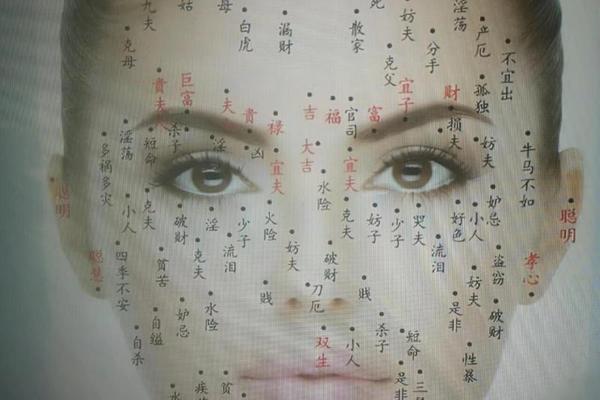 右眉毛里有痣的女人痣相—右眉毛里面有痣的女人的命运是什么