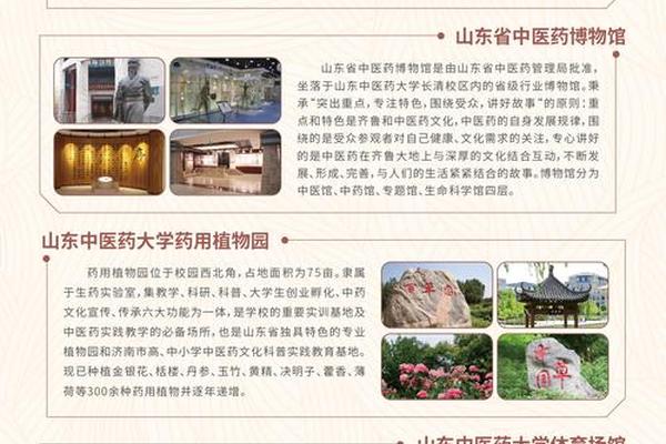 中医药文化宣传周-中医传承班招生