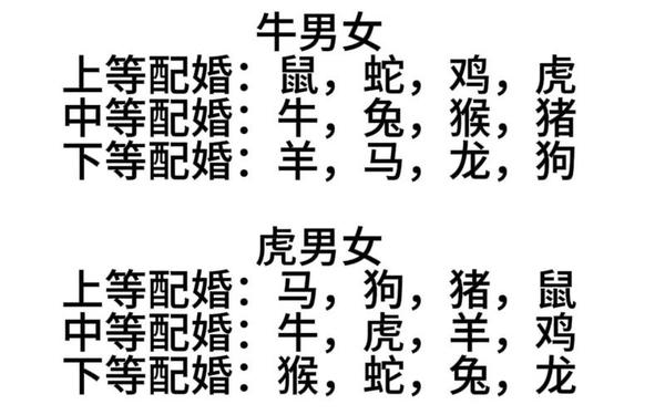 82年属啥的属相最配对 82年属啥的属相最配对