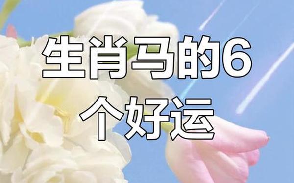 马的克星第一名(1966出生马桃花运) 马的克星第一名(1966出生马桃花运)