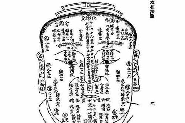 麻衣相腿上有痣-麻衣相法大全图解痣
