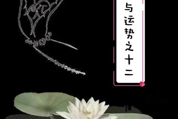 7 2年亥时女鼠2 0 2 4年运程