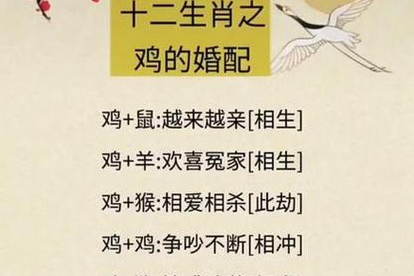 93年鸡男配96女鼠是几等婚姻