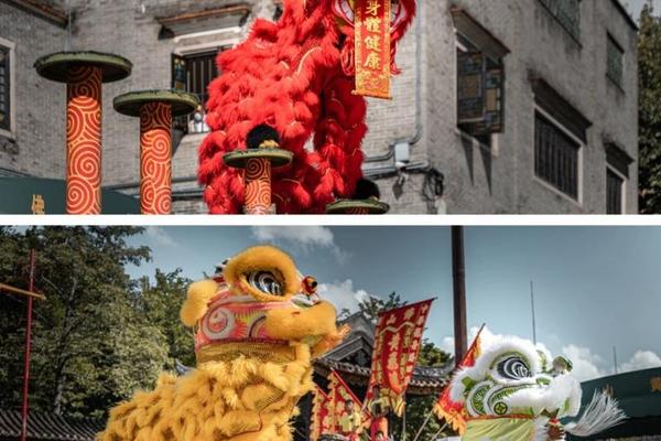 醒狮文化传承什么精神品质(佛山醒狮文化传承)