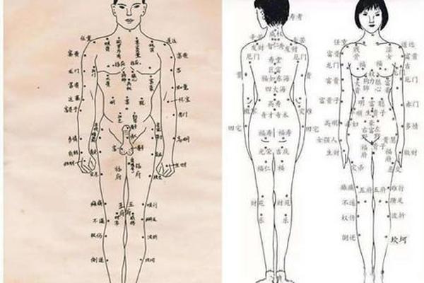 人生痣相大全(人体全身痣相图解) 人生痣相大全(人体全身痣相图解)
