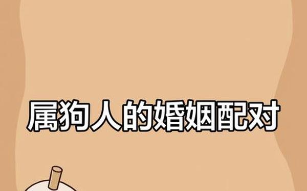 男属狗的最佳婚配有哪些 男属狗的最佳婚配有哪些