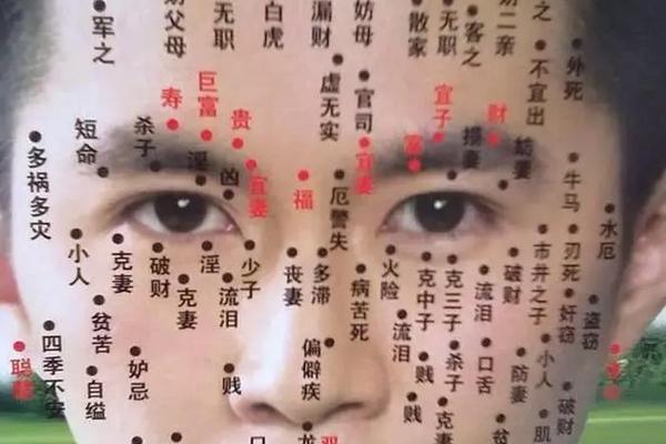 痣相 散家_少叙痣代表什么意思