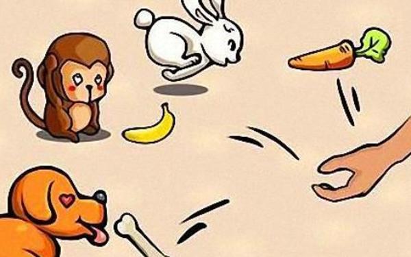 属猴跟兔合不合 兔子和猴属相相配吗 属猴跟兔合不合 兔子和猴属相相配吗