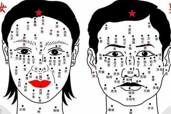 不孝儿女痣相_利子女的痣