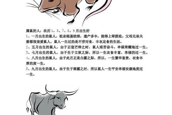2020年出生属鼠的人命好吗