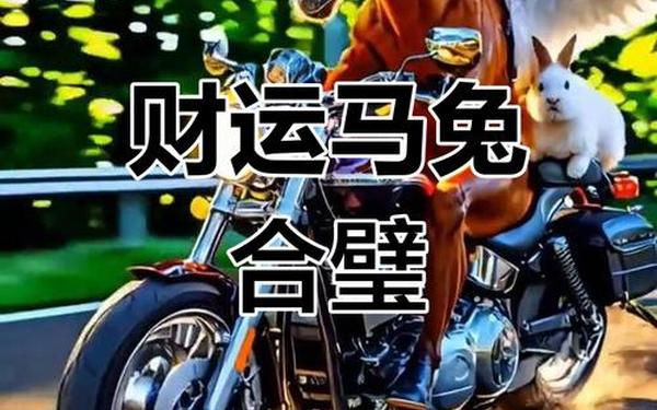 属兔和属马的能不能合作生意 属兔和属马的能不能合作生意