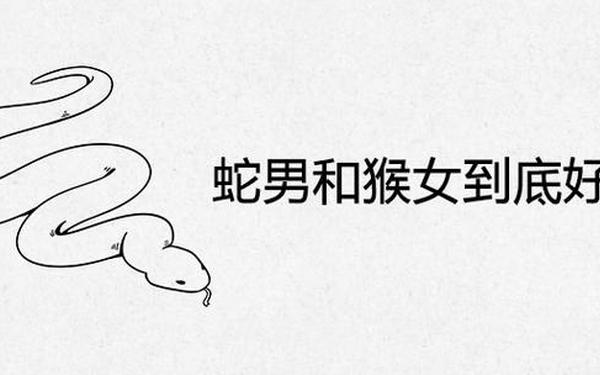 属猴的和属蛇的婚姻配吗(男蛇女猴在一起的后果) 属猴的和属蛇的婚姻配吗(男蛇女猴在一起的后果)